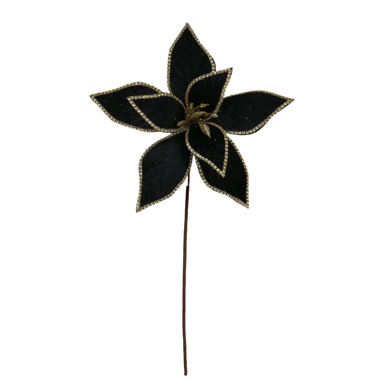 BLACK SEASONAL FLOWER